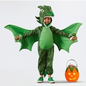 Pottery Barn Kids Green Dragon Toddler Costume, 3T